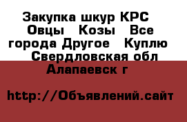 Закупка шкур КРС , Овцы , Козы - Все города Другое » Куплю   . Свердловская обл.,Алапаевск г.